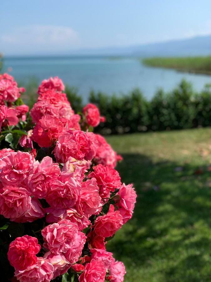 Guest House Tivko Katce Gostivar Esterno foto