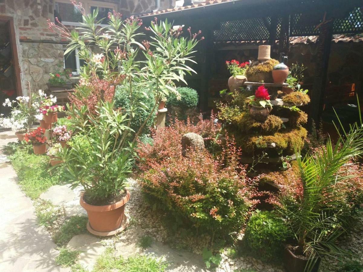 Guest House Tivko Katce Gostivar Esterno foto